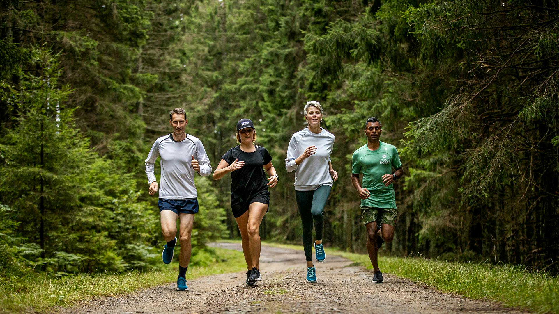 a group of people running down a trail in the forest wearing Icebug running shoes